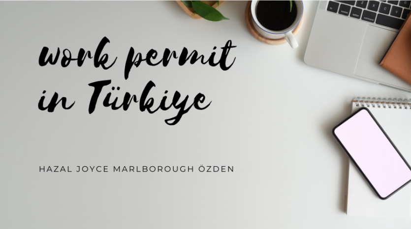 Obtaining a work permit in Turkey by Realtor Yakup Uslu